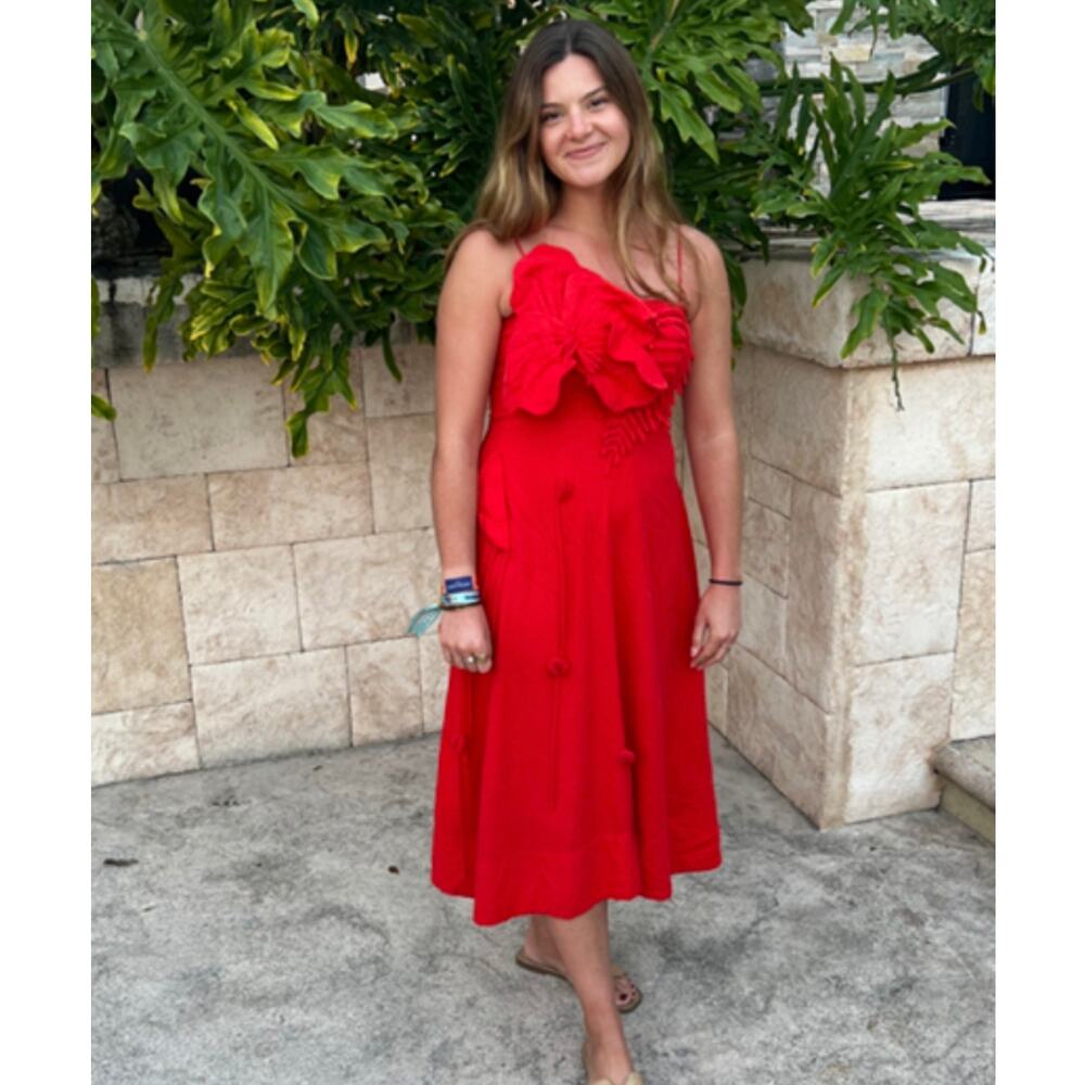 FARM RIO Garden Linen Blend Sleeveless Red Midi Dress Size Large
